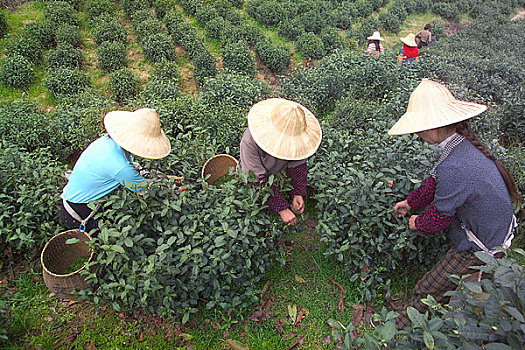 xs du doan mien nam