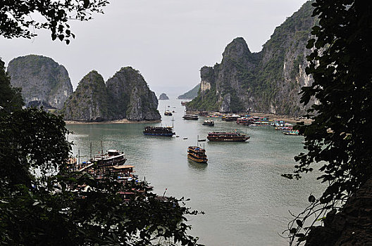 soi cầu bạch thủ 666