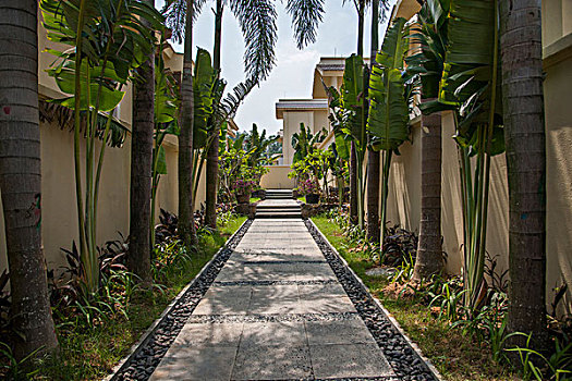 cái số đề