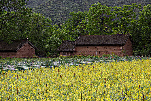 xsmb thu 6 du doan