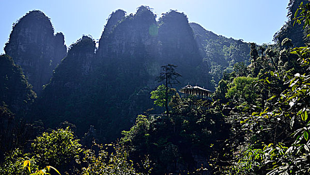 soi cau lo