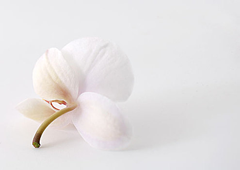xổ số cần thơ hàng tuần
