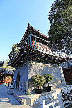 soi đề miền bắc