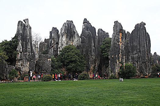 soi cau xo so 568