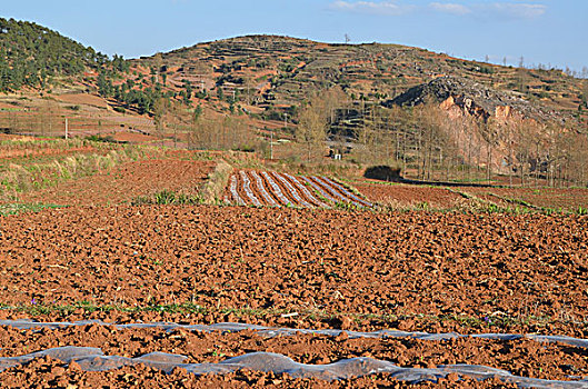 xsmb du doan