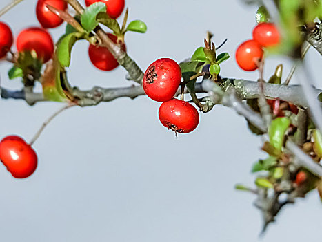 xổ số kiên giang hôm nay