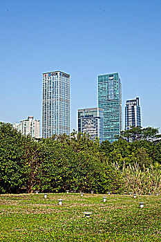 thuan vu 286