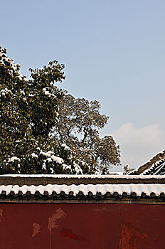 3 càng