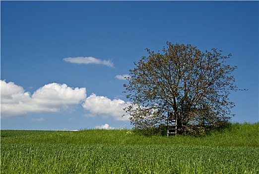 du doan bach thu