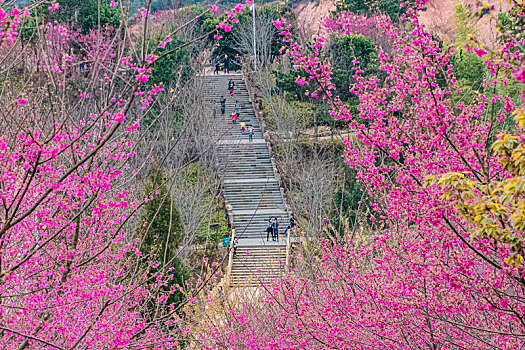 xs ha noi hom nay