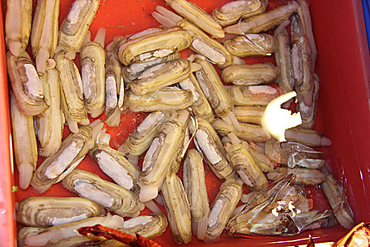 soi cầu xổ số miền