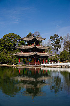 soicau rongbachkim