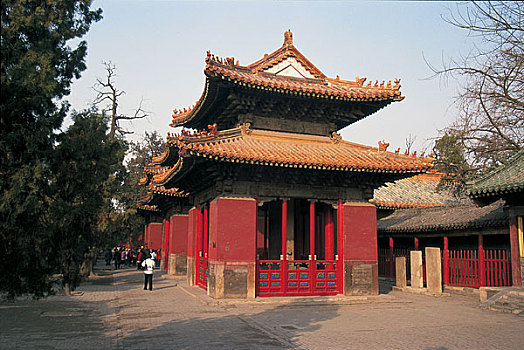 xsmn chu nhat du doan