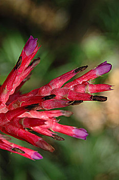 xổ số quảng nam