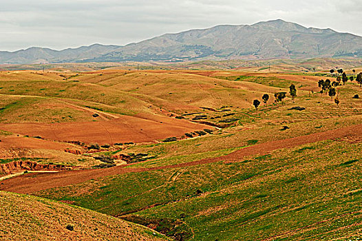 xosodongthap