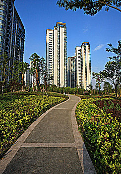 soi cau mb24h