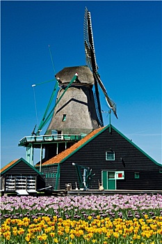 du doan xsmb 568