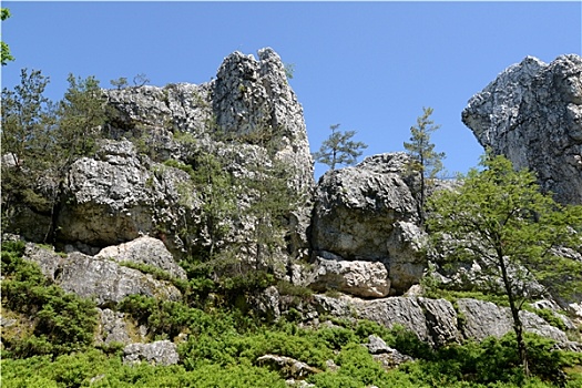 bach thu la