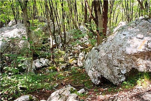 choi so de lam giau