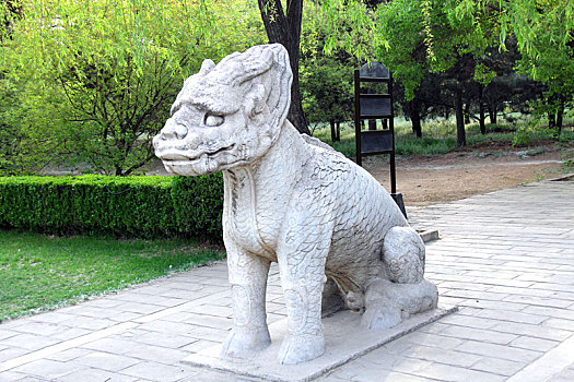 soi câu bach kim