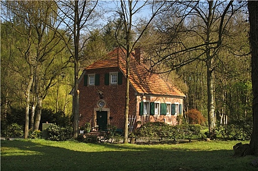 cau gio vang