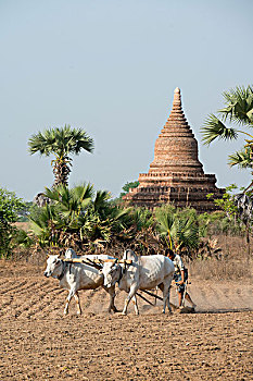 xo số hôm nay