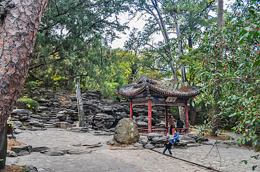 quay thử xổ số vũng tàu