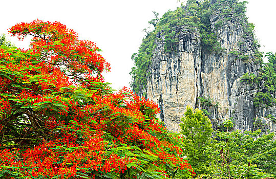 thống kê cầu lô bạch thủ