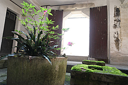 kết quả xổ số long an