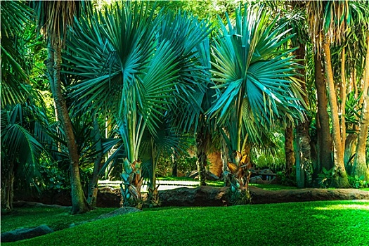 xin số lô đề hôm nay