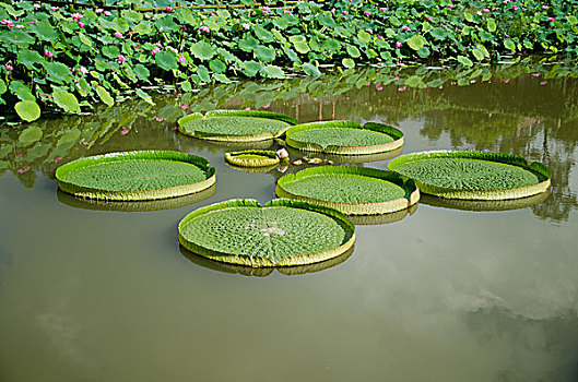 dự đoán xổ số tiền giang hôm nay