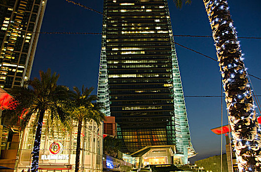 soi cau rong vang
