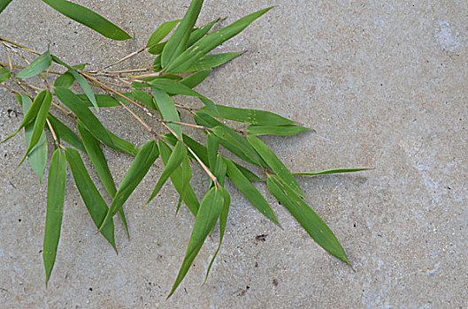 số miền bắc hôm qua