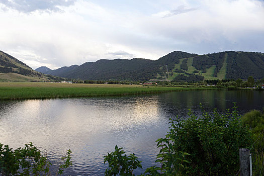 cau bach thu de