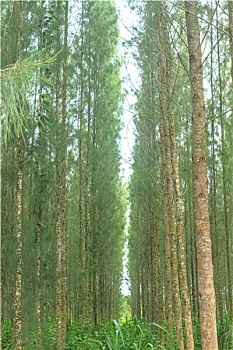 xổ số vĩnh long hàng tuần