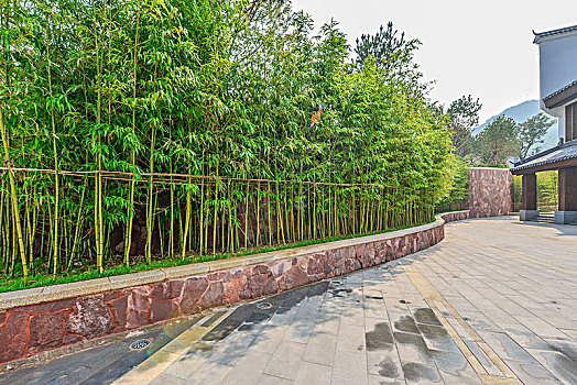 www soi cau bach thu
