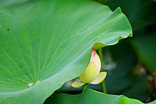 soi cầu hôm nay miền bắc