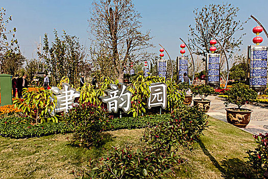 soi cau mien phi