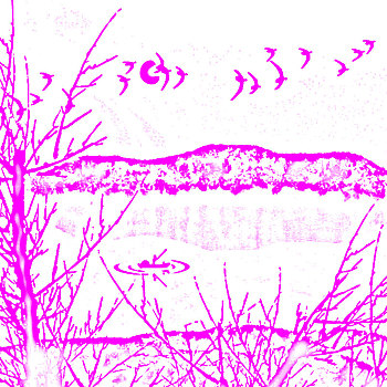 soi cau doan so 135