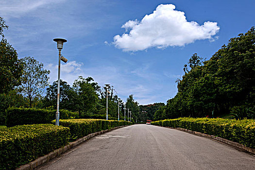 xổ số đài trung