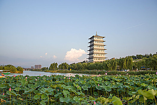 xổ số an