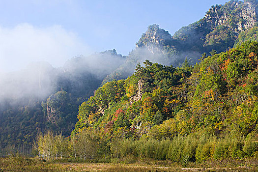soi cau tuan