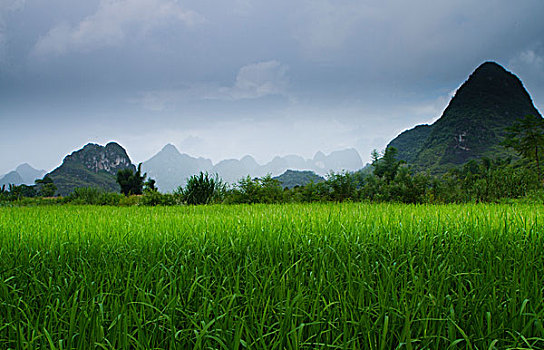soi cầu lô tô bạch thủ