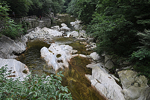 soi cau rong bach kim 2 nhay