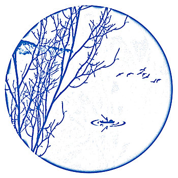 bạch thủ đề mb