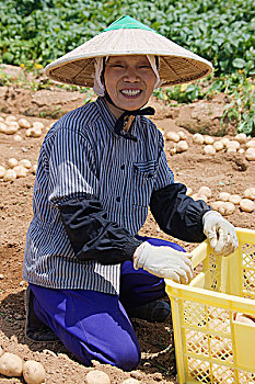 soi cau wap 3 mien