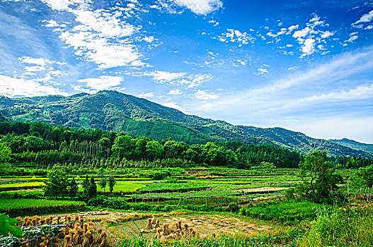 lo bach thu khung 3 ngay 247