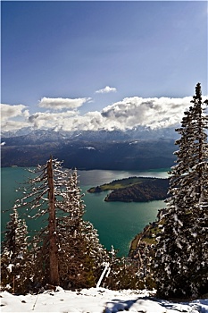 cau bach thu kep