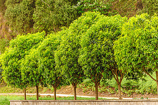 xổ số chiều nay