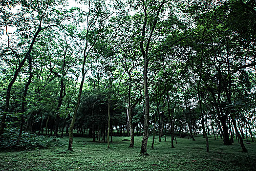 xs ho chi minh